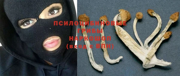 а пвп мука Белокуриха