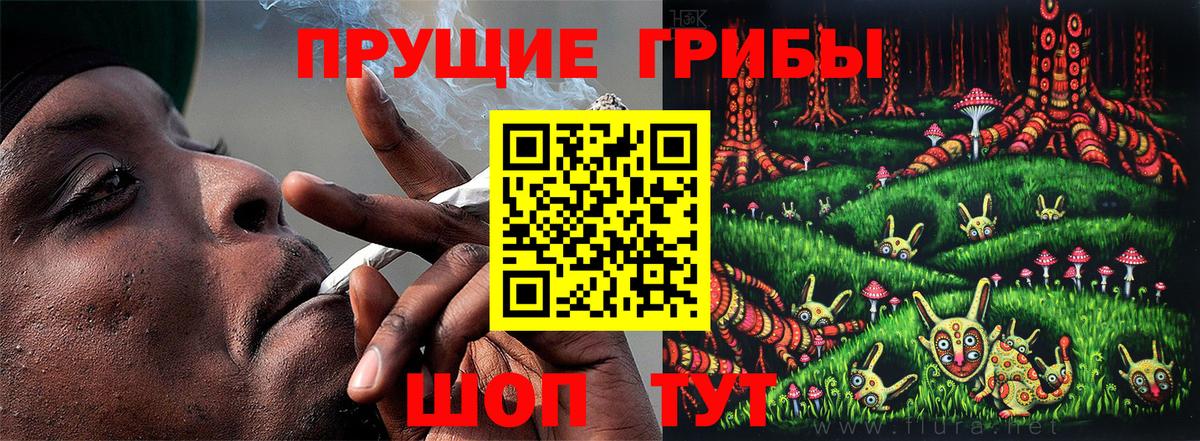 Псилоцибиновые грибы мицелий Буйнакск